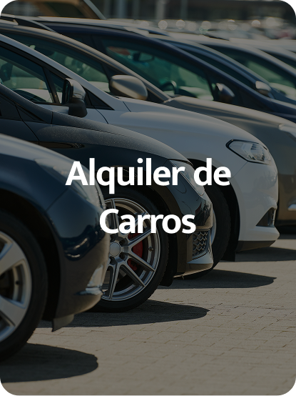 ImagenBitsiAlquilerdeCarros
